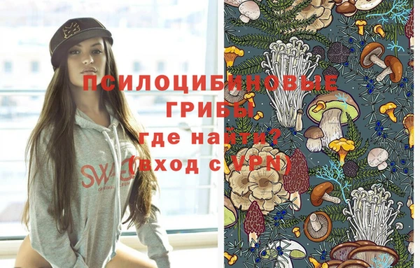 молекула духа Бронницы